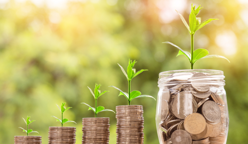 Small Cap Mutual Funds in India